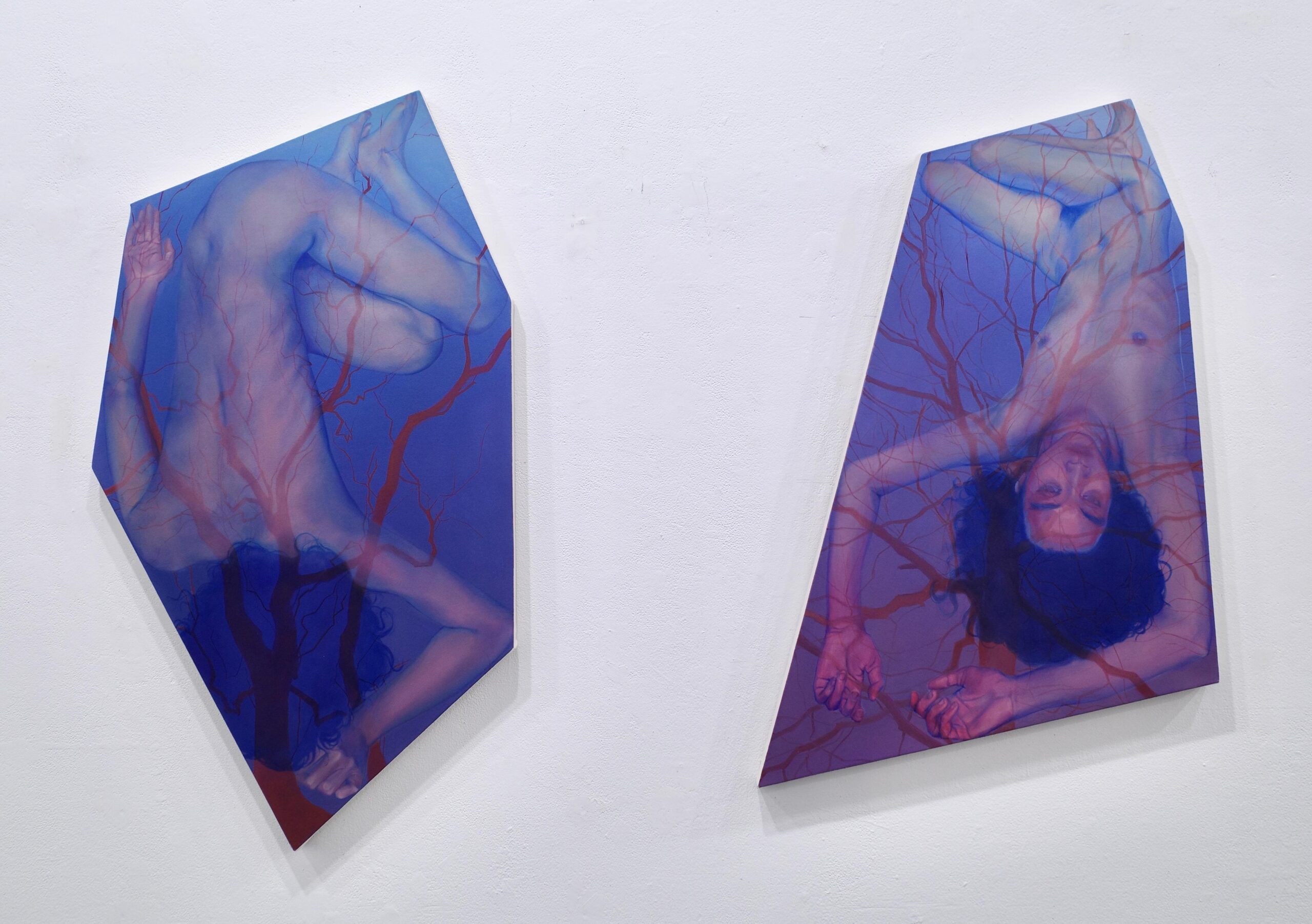 An Irregular Dream IV